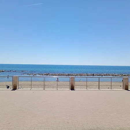 Sunny *